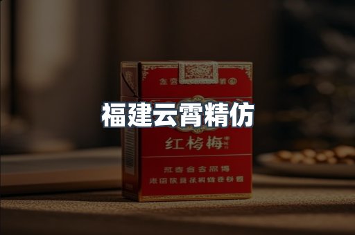 福建云霄精仿